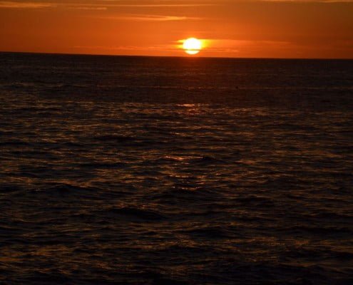 an other day in paradise