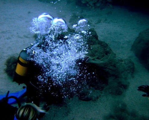 Dive Tenerife