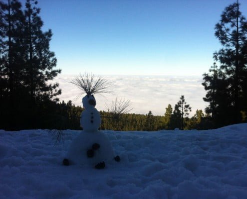 on the top of the teide