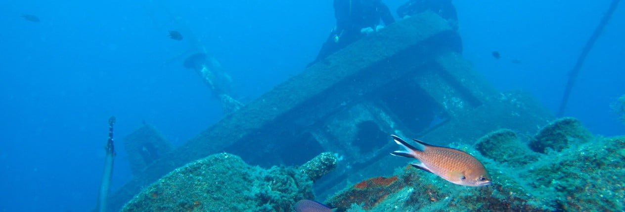 Dive Tenerife, Tauchen Teneriffa, Nurkowanie Teneryfa