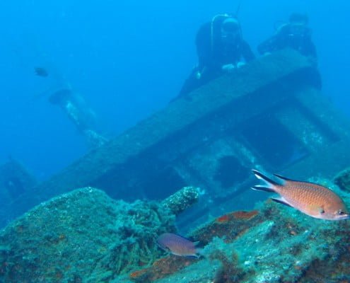 Dive Tenerife, Tauchen Teneriffa, Nurkowanie Teneryfa