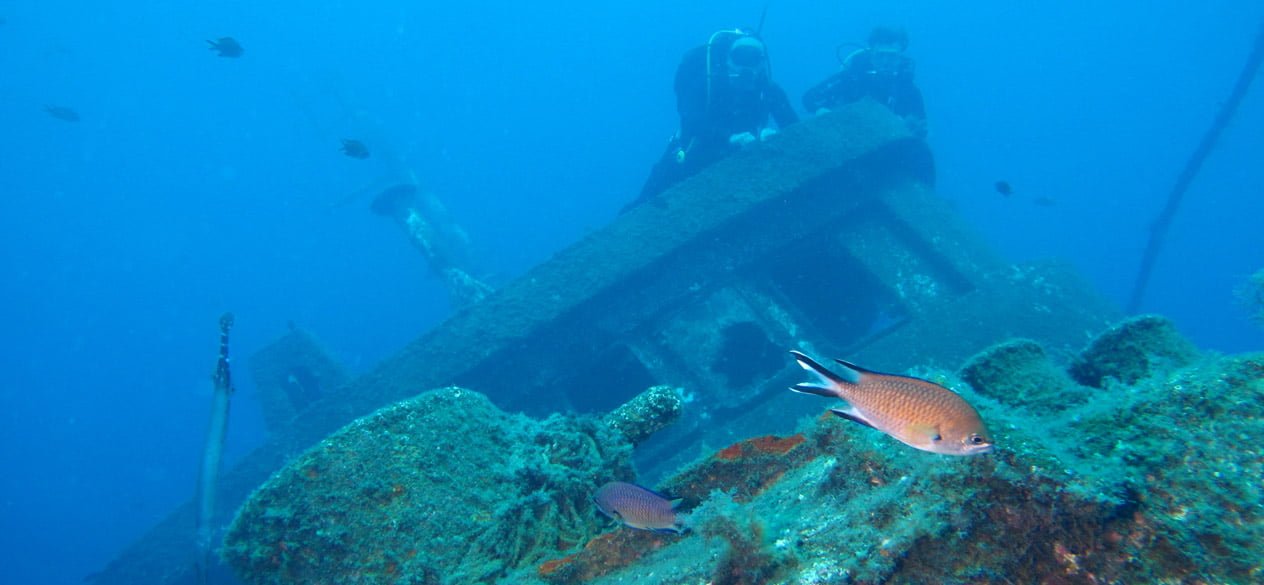 diving center tenerife wrecks 04 Dive Tenerife, Tauchen Teneriffa, Nurkowanie Teneryfa