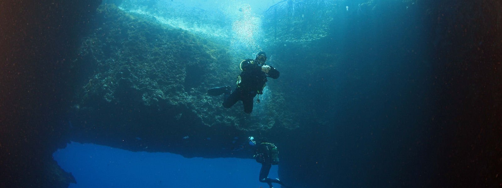 Dive Tenerife Dive Tenerife